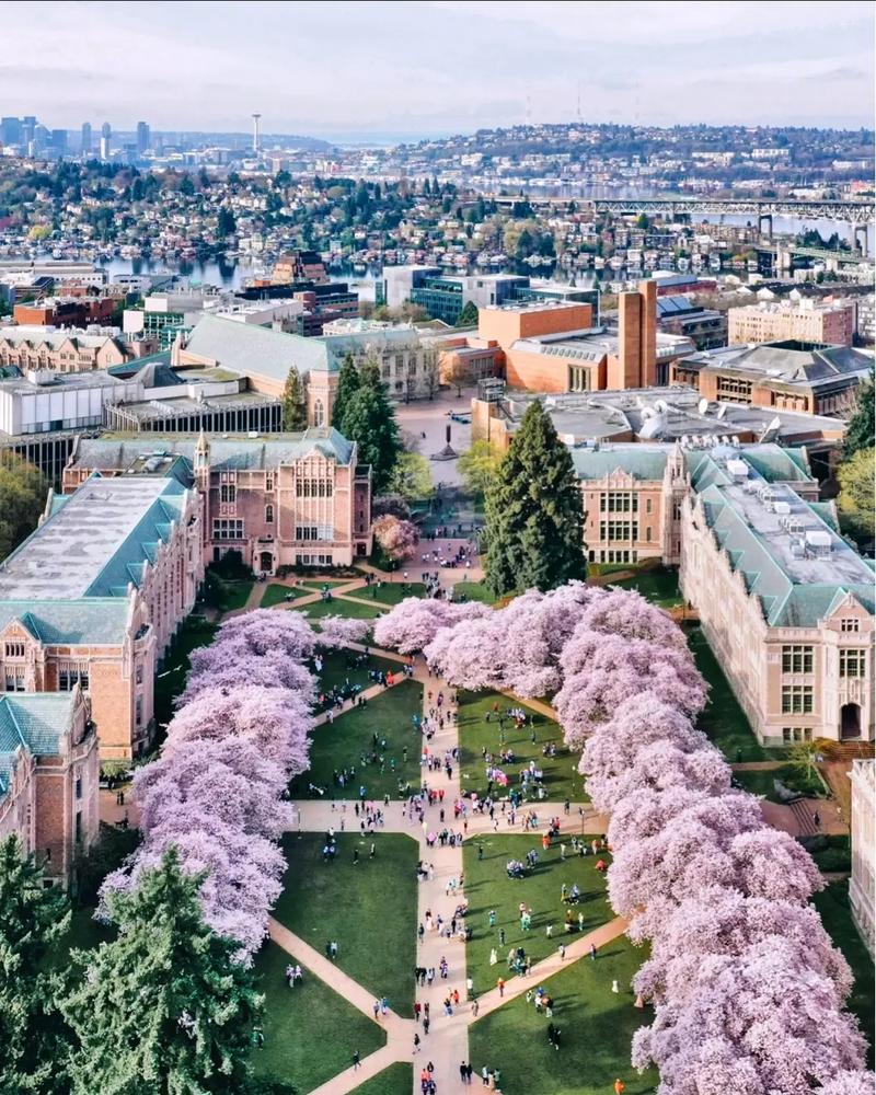 大邑矿业科技大学